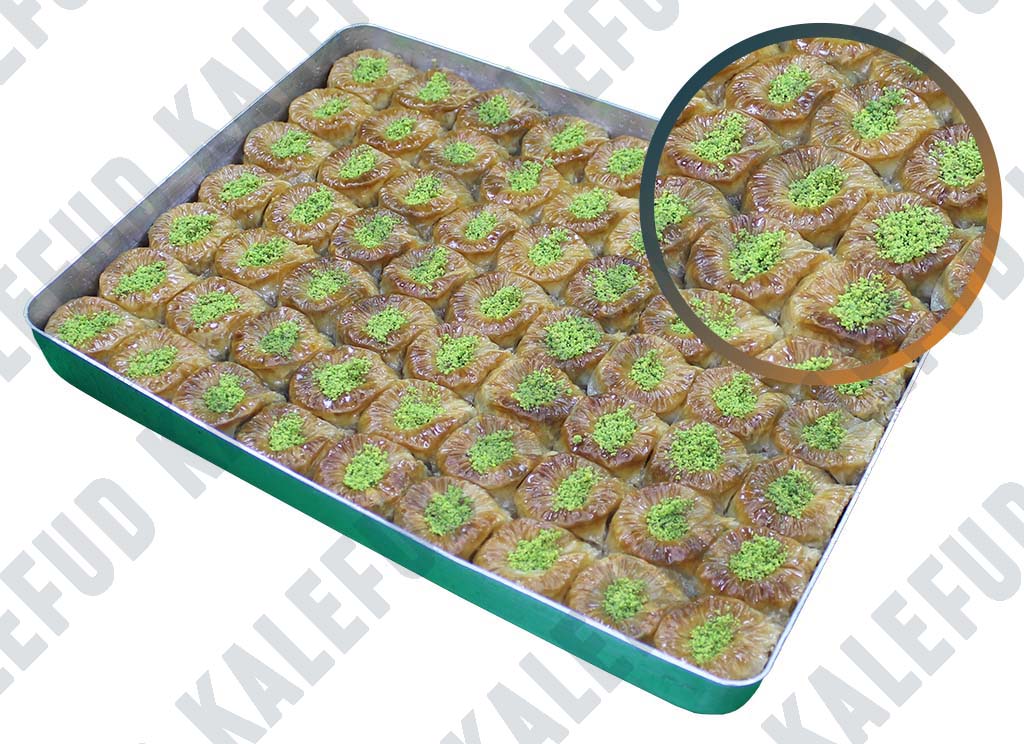 Fıstıklı Bülbül Yuvası